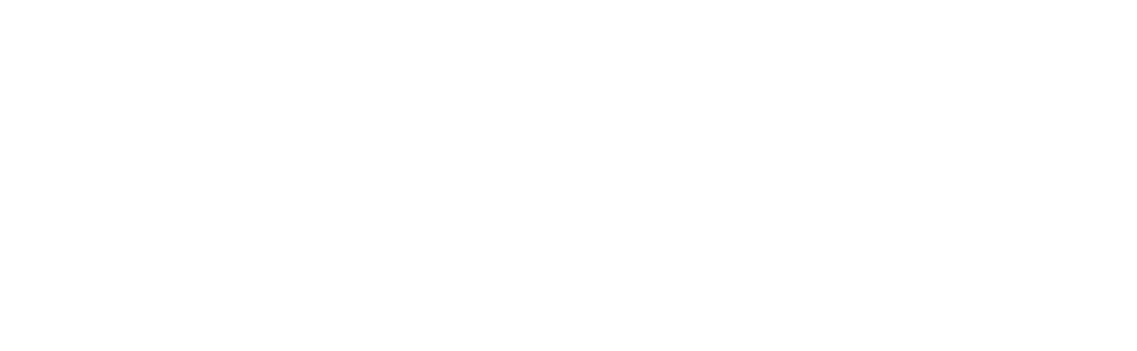 Vedanta Academy Logo